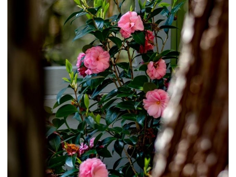 198 Erith Street, Bundanoon NSW 2578