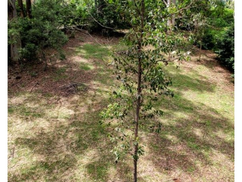 3 Ben Nevis Circuit, Bundanoon NSW 2578