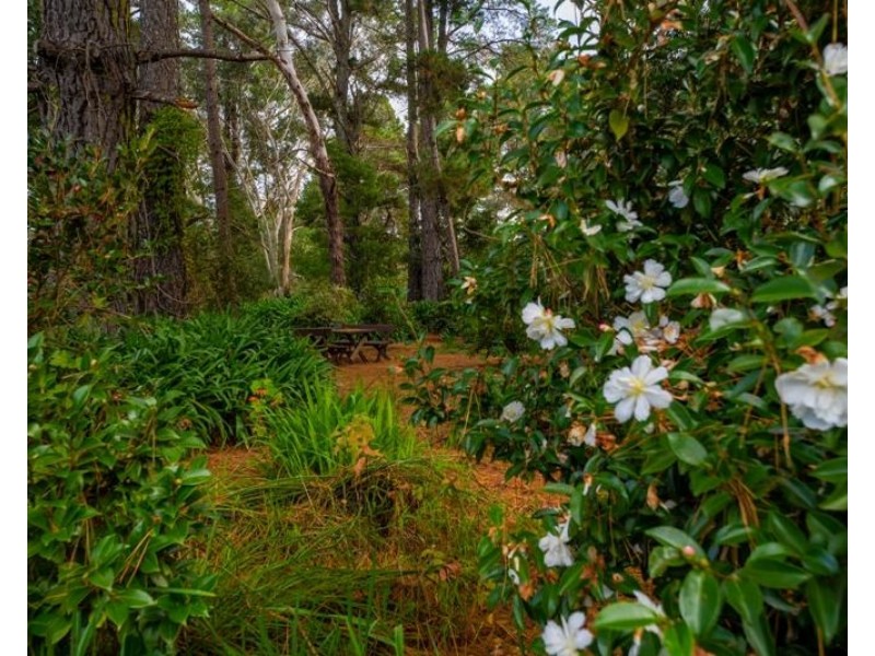 101 Penrose  Road, Bundanoon NSW 2578