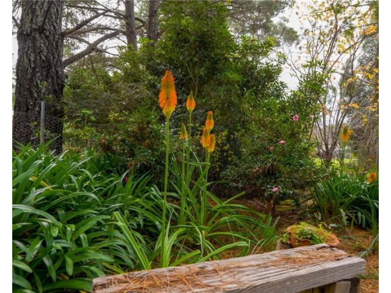 101 Penrose  Road, Bundanoon NSW 2578