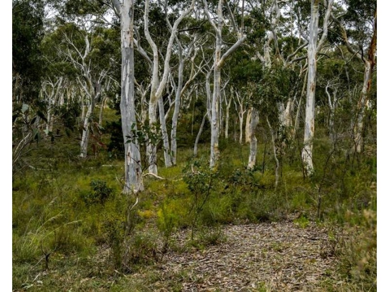 15 Bottlebrush Close, Tallong NSW 2579