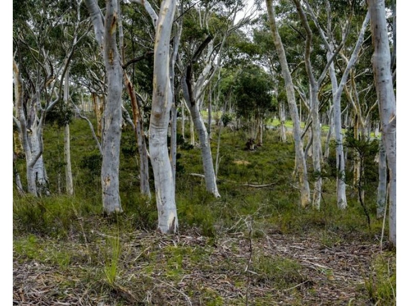 15 Bottlebrush Close, Tallong NSW 2579