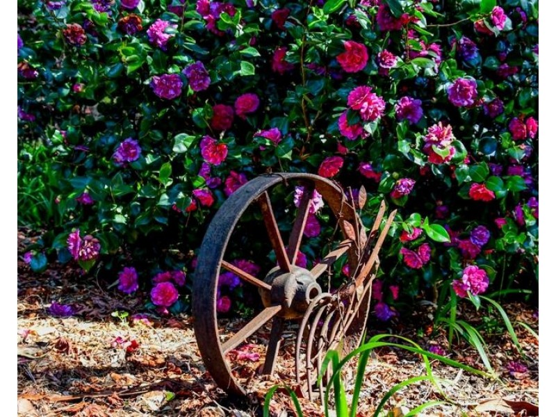 5 Viewland Street, Bundanoon NSW 2578