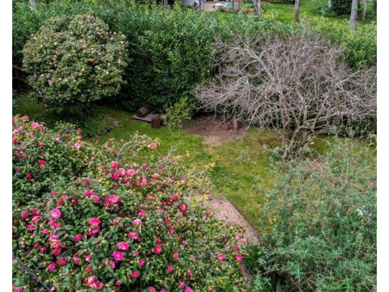 191 Railway Avenue, Bundanoon NSW 2578