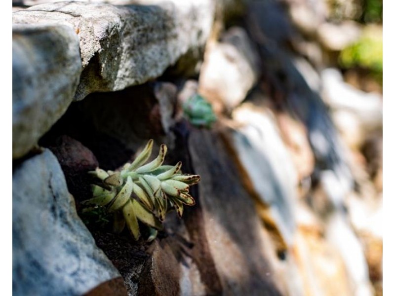 23 Church Street, Bundanoon NSW 2578