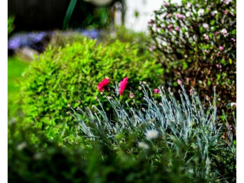 40 Ringwood Road, Exeter NSW 2579