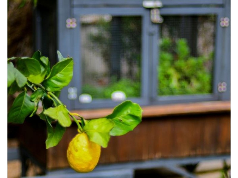 40 Ringwood Road, Exeter NSW 2579