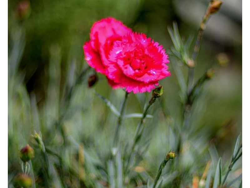 40 Ringwood Road, Exeter NSW 2579