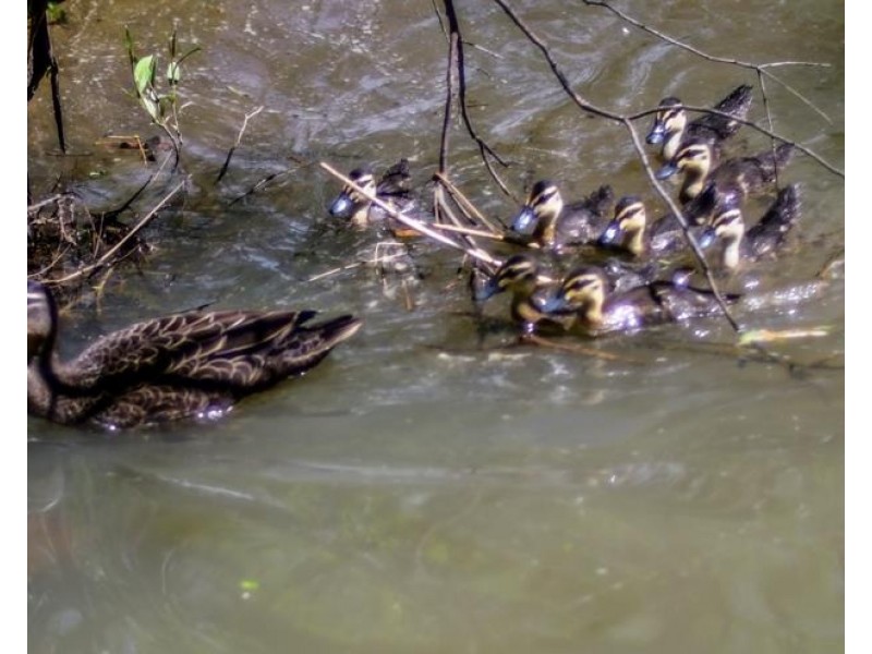 2 Ferndale Road, Bundanoon NSW 2578