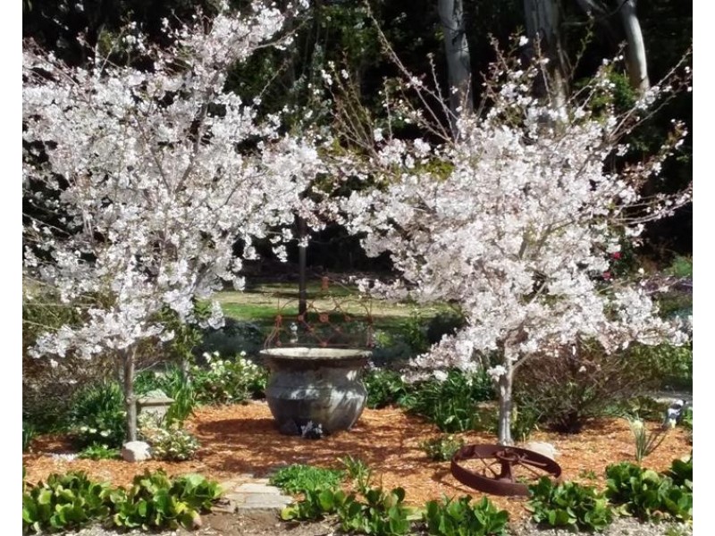 2 Ferndale Road, Bundanoon NSW 2578