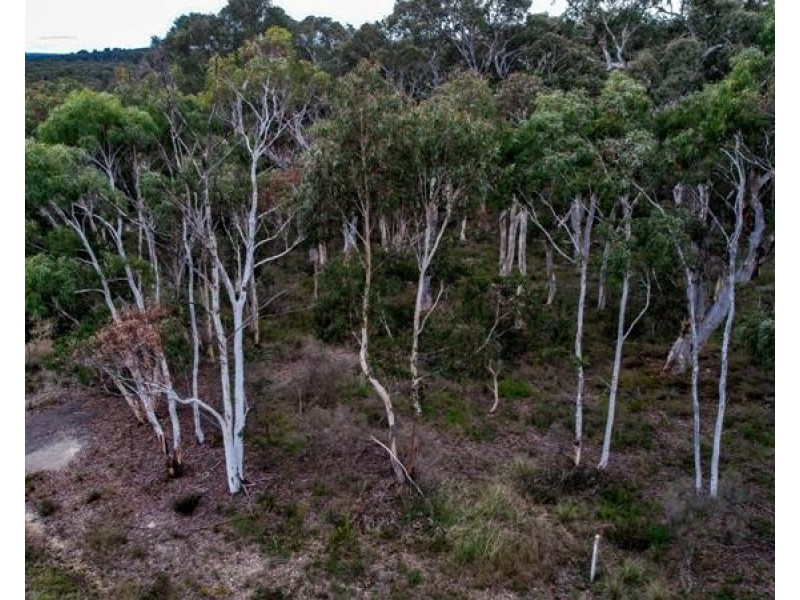 15 Bottlebrush Close, Tallong NSW 2579