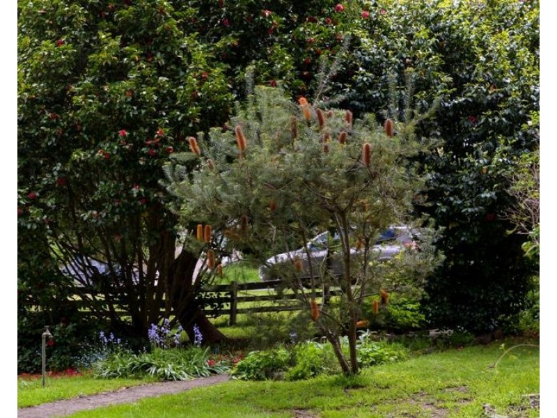 16 Birriga Avenue, Bundanoon NSW 2578