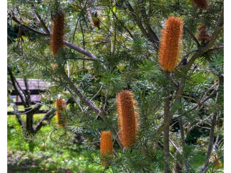 16 Birriga Avenue, Bundanoon NSW 2578