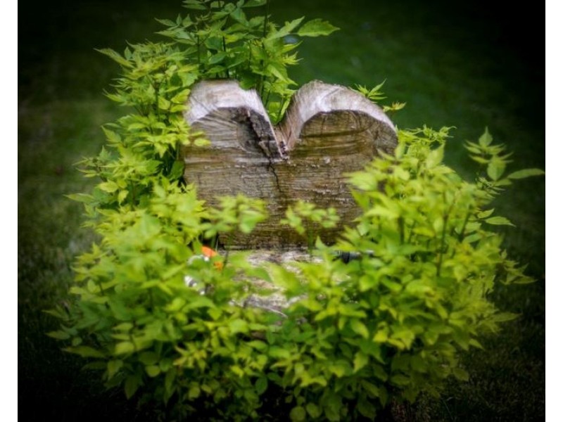 16 Church Street, Bundanoon NSW 2578