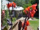 81 Railway Avenue, Bundanoon NSW 2578