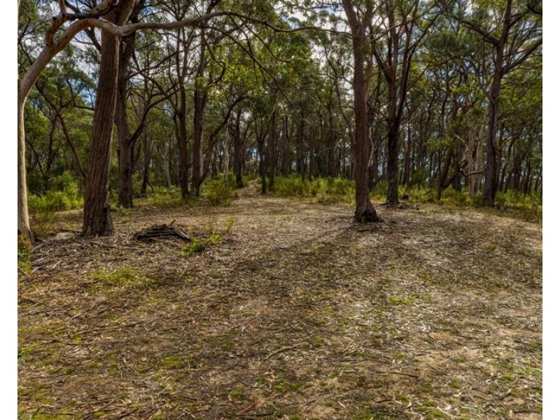 8 Badgerys Lookout Road, Tallong NSW 2579