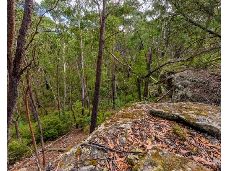 8 Badgerys Lookout Road, Tallong NSW 2579