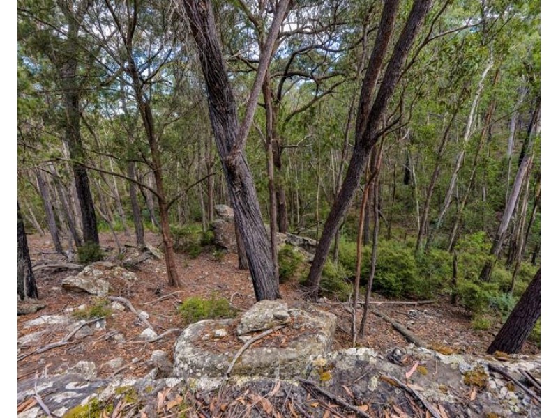 8 Badgerys Lookout Road, Tallong NSW 2579