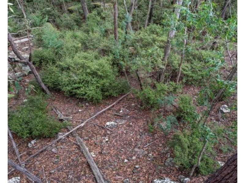 8 Badgerys Lookout Road, Tallong NSW 2579