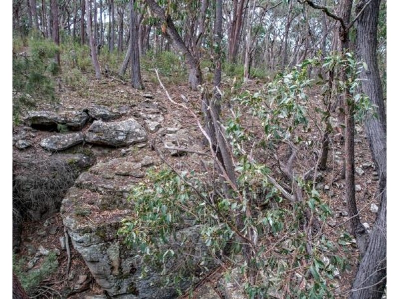 8 Badgerys Lookout Road, Tallong NSW 2579