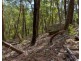 8 Badgerys Lookout Road, Tallong NSW 2579
