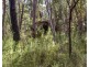 8 Badgerys Lookout Road, Tallong NSW 2579