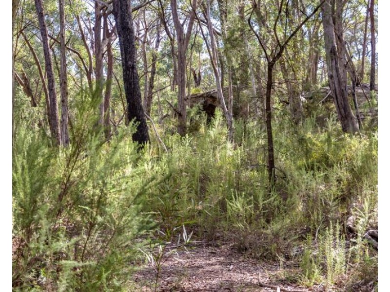 8 Badgerys Lookout Road, Tallong NSW 2579