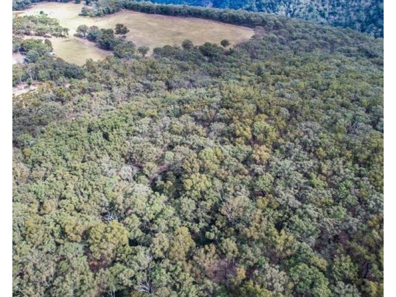 8 Badgerys Lookout Road, Tallong NSW 2579