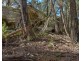 8 Badgerys Lookout Road, Tallong NSW 2579
