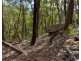 8 Badgerys Lookout Road, Tallong NSW 2579