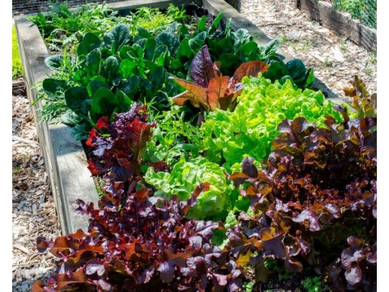 29D Birriga Avenue, Bundanoon NSW 2578