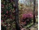 2A Broughton Street, Bundanoon NSW 2578