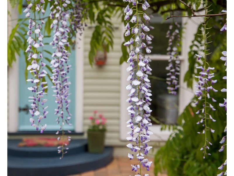 62-64 Old Wingello Road, Bundanoon NSW 2578