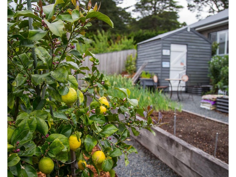 9 Rochester Drive, Bundanoon NSW 2578