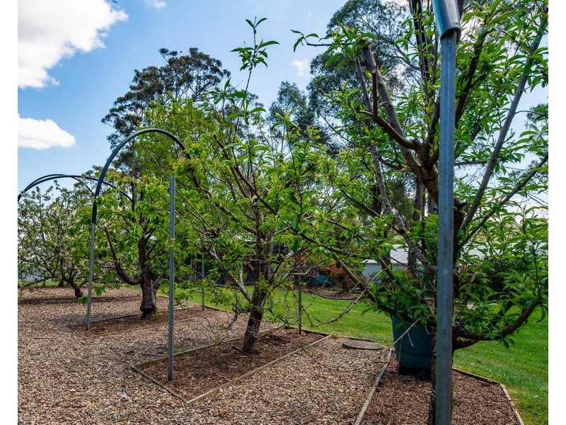 17 Larkin Close, Bundanoon NSW 2578