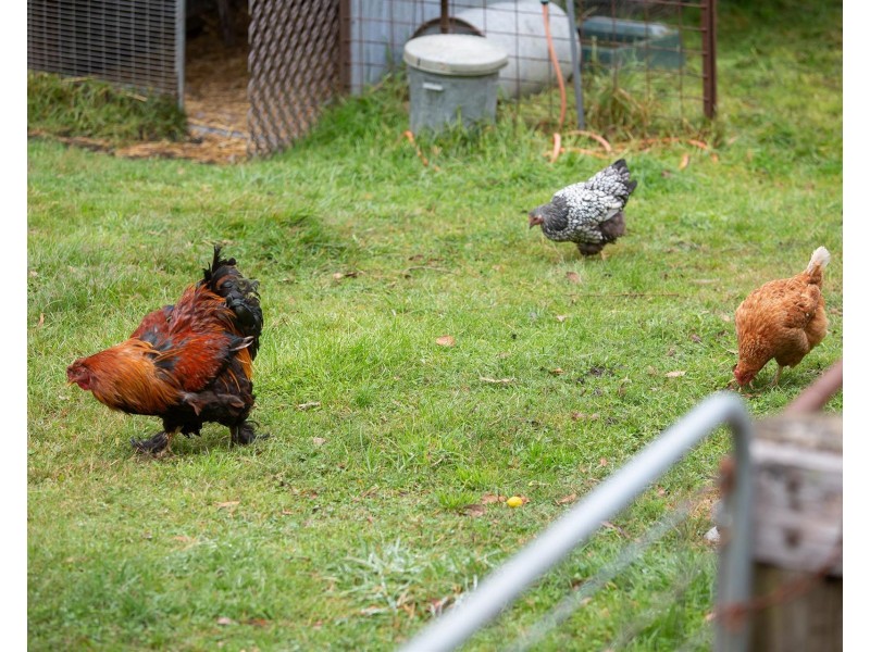 22-26 Ross Street, Bundanoon NSW 2578