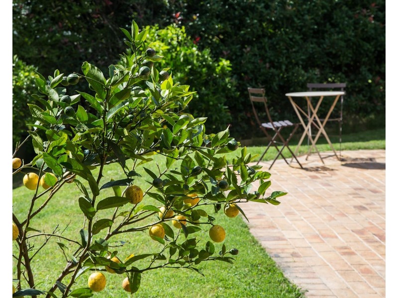 4 Dorothy Friend Place, Bundanoon NSW 2578