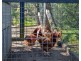83C Penrose Road, Bundanoon NSW 2578