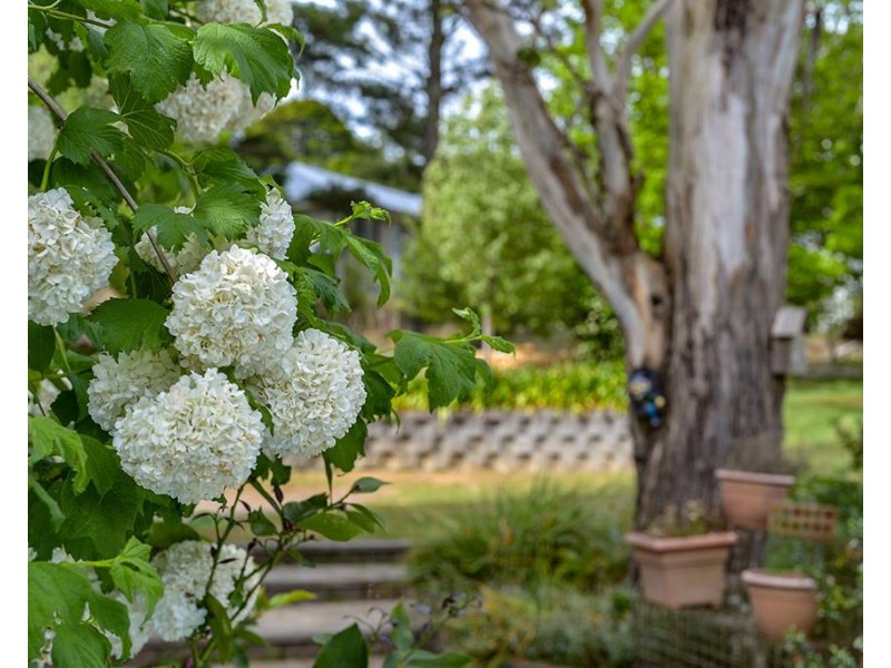 20 Forwood Crescent, Bundanoon NSW 2578