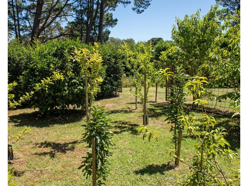 22 Bumballa Road, Wingello NSW 2579