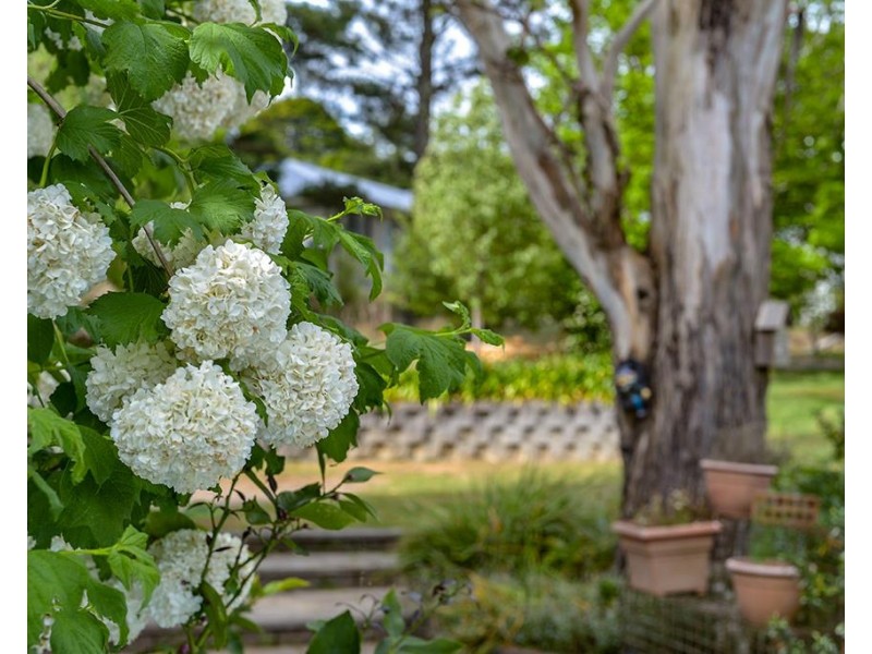 20 Forwood Crescent, Bundanoon NSW 2578