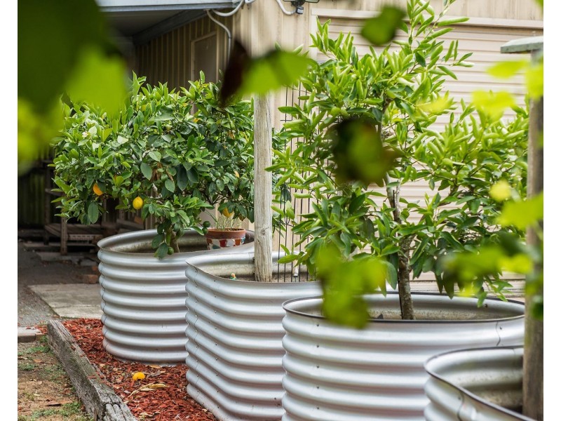 67 Penrose Road, Bundanoon NSW 2578