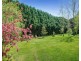 64 Blue Gum Road, Bundanoon NSW 2578