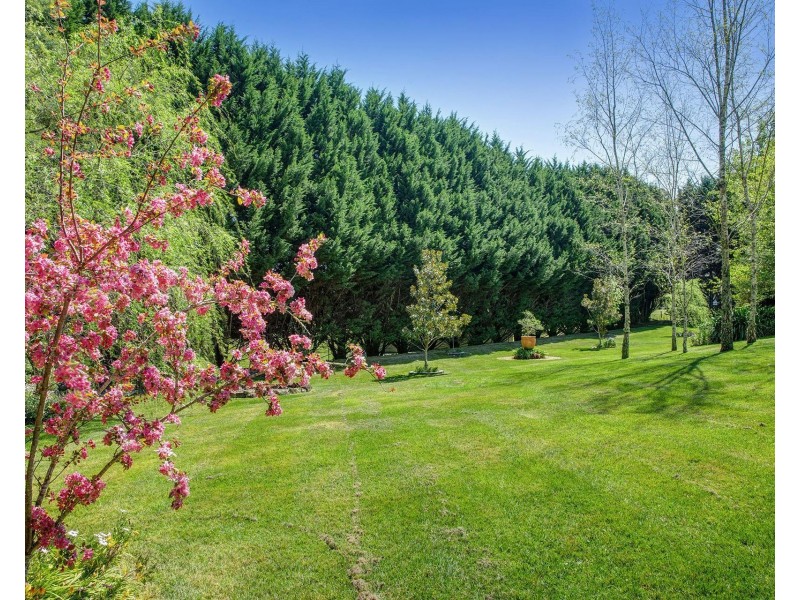 64 Blue Gum Road, Bundanoon NSW 2578
