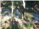 2 Glen  St, Warren NSW 2824