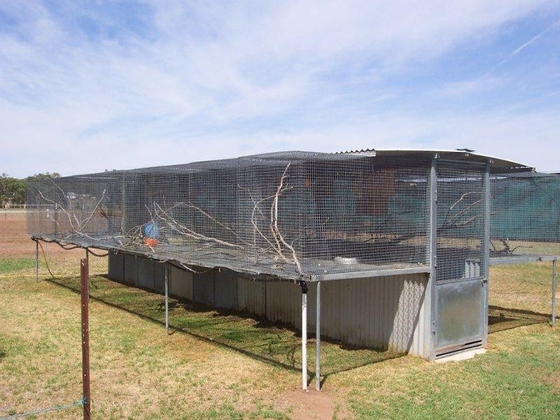 94 Lawnside  Dr, Mendooran NSW 2842
