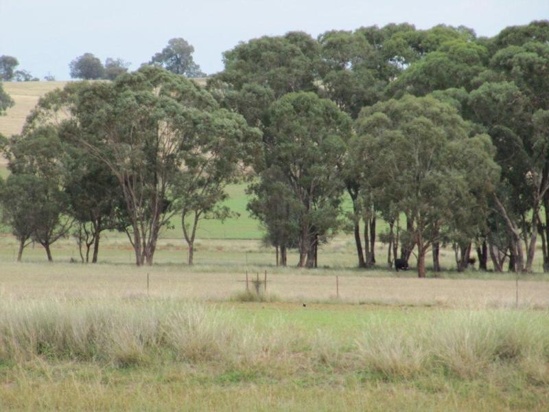 18R Rosedale  Rd, Dubbo NSW 2830