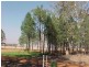 Lot 9 Aralee  Est, Gilgandra NSW 2827