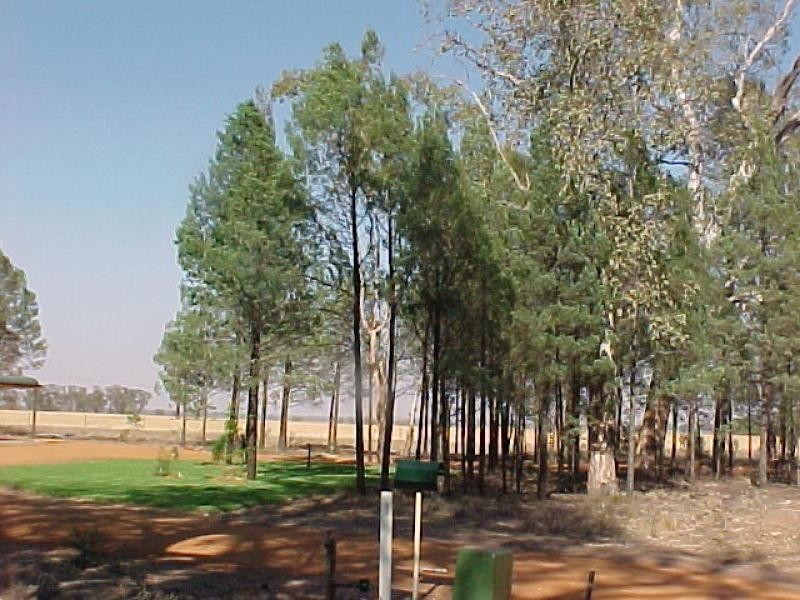 Lot 9 Aralee  Est, Gilgandra NSW 2827
