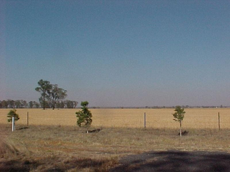 Lot 9 Aralee  Est, Gilgandra NSW 2827